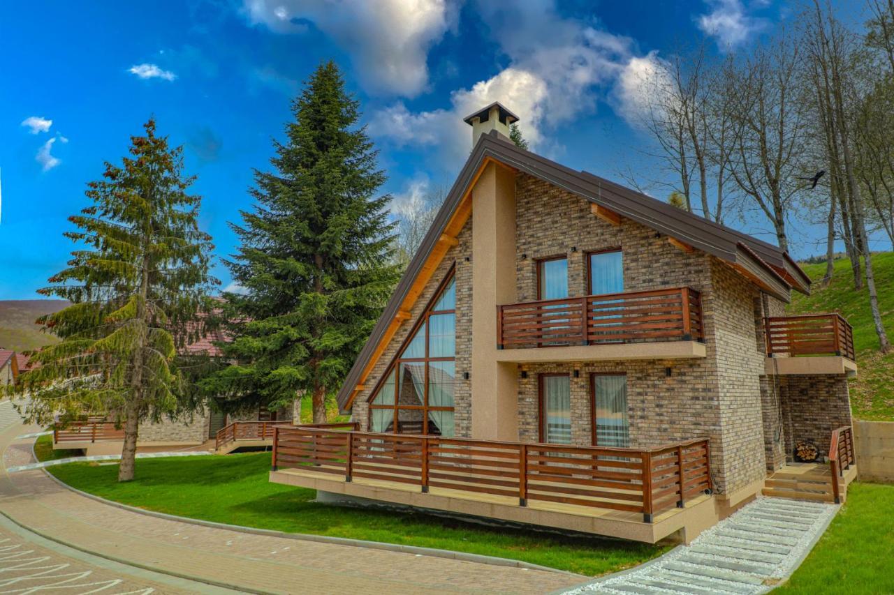 Radika Village Mavrovo Exterior photo