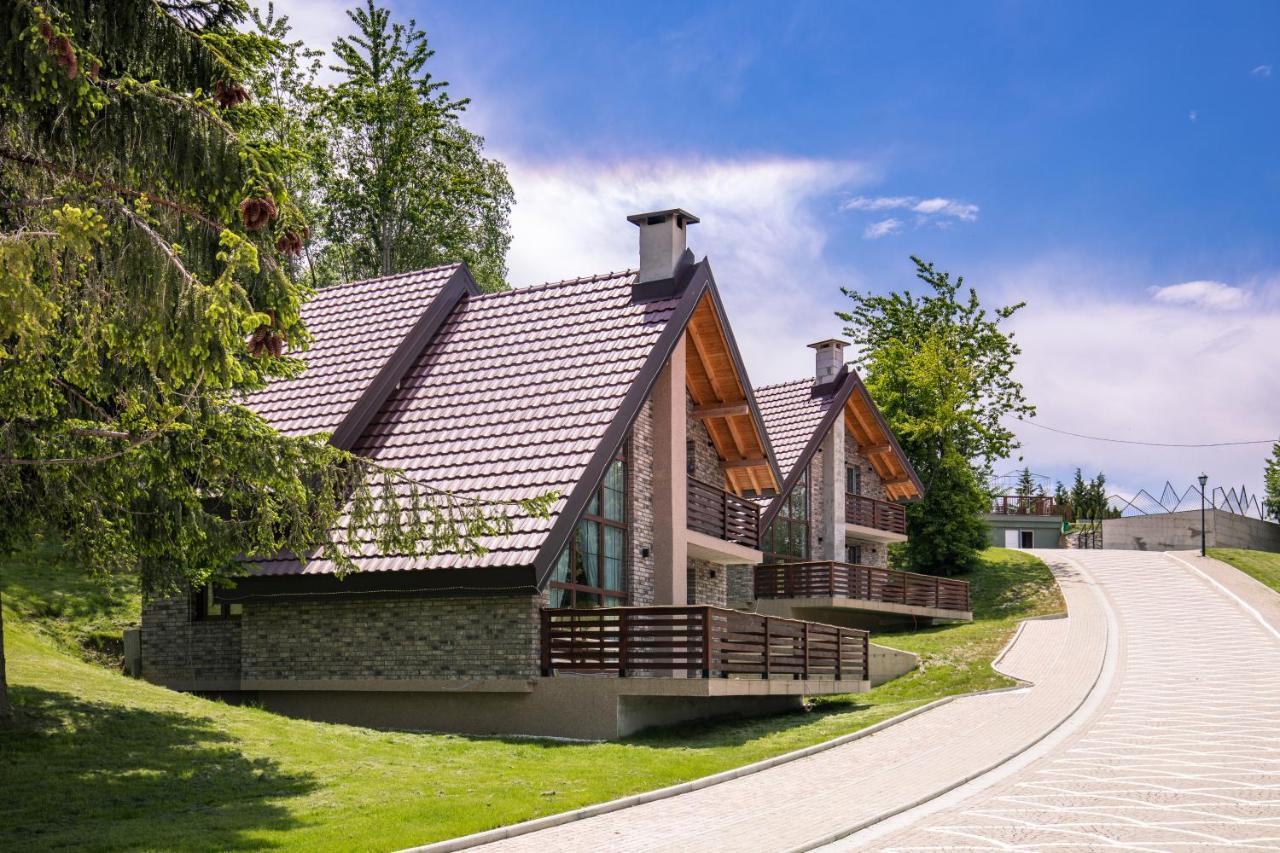 Radika Village Mavrovo Exterior photo